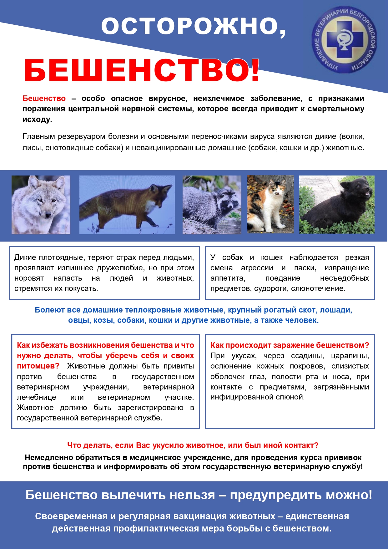 Бешенство.