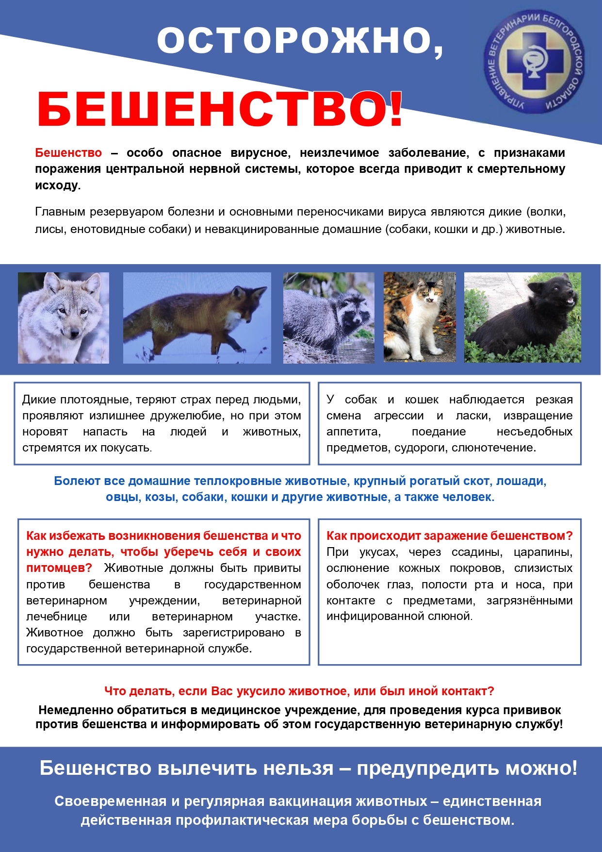 Осторожно бешенство.