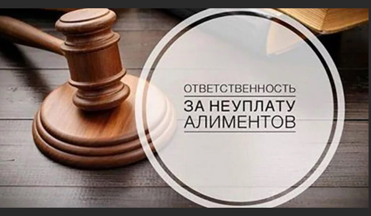 Алименты. Алименты.